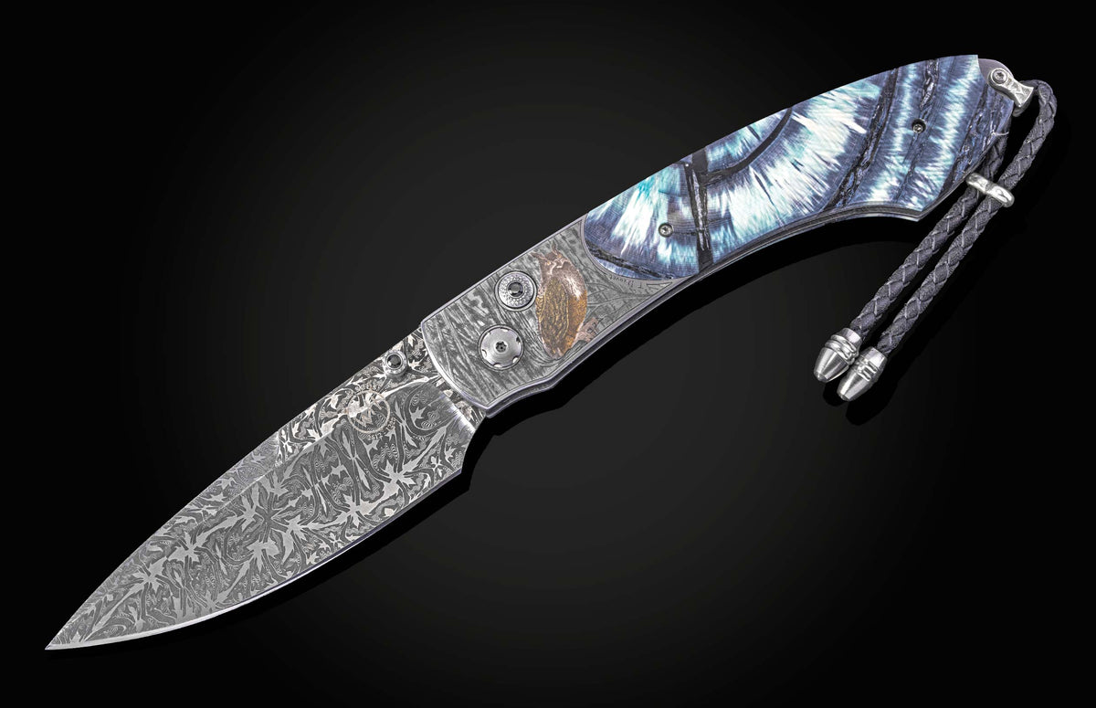 B12 Night Hunter