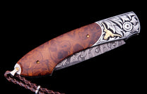 Longhorn