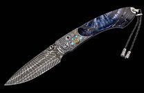 Nautilus