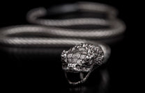 Silver-toned snake head bracelet with detailed scales, open mouth, fangs, and braided coiled body.